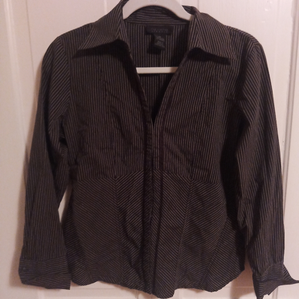 The Limited Stretch blouse